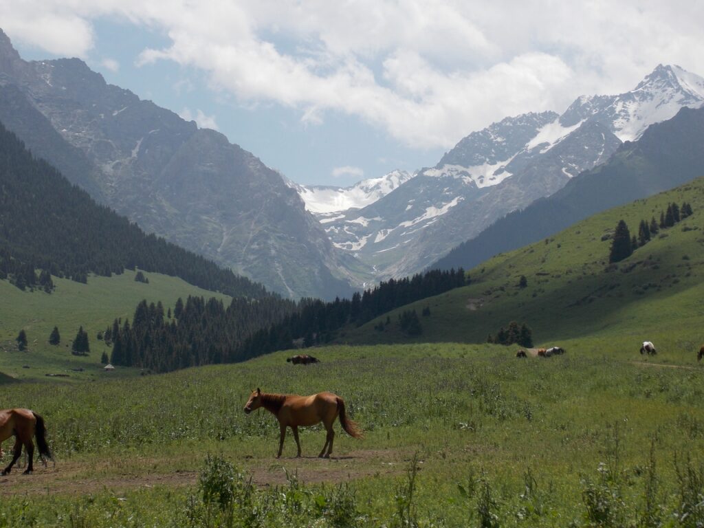 Орто-Кайыңды айыл өкмөтүнүн веб сайты жаңыртылды
